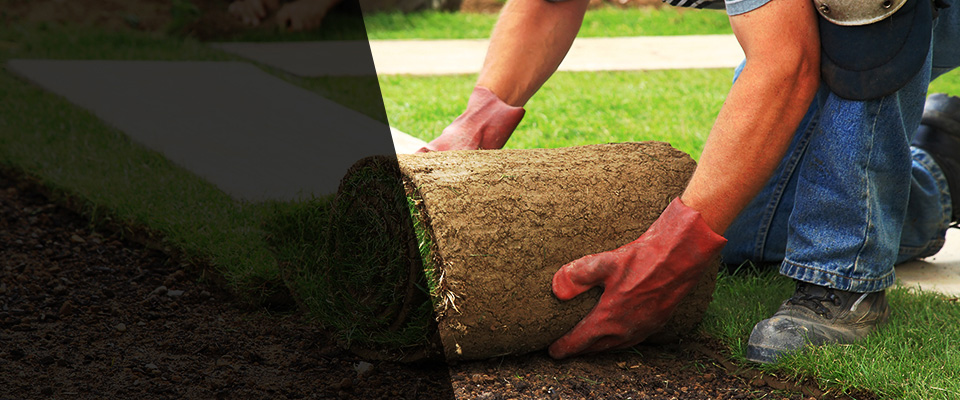 Mattoon Landscapers